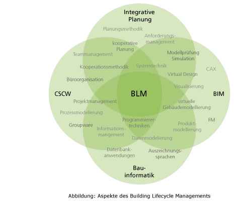 BLM diagram